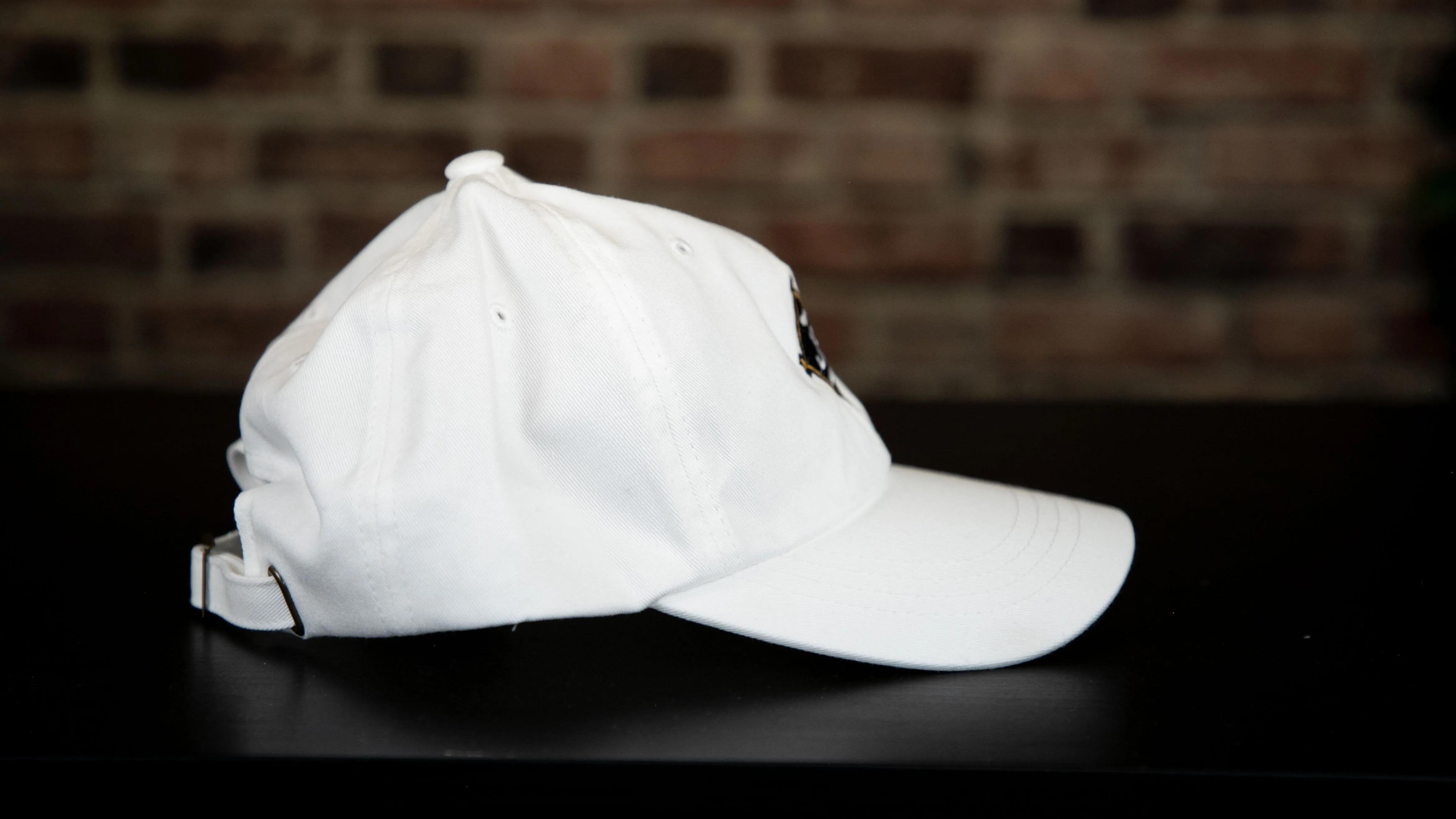2023 Just Baseball Dad Hat